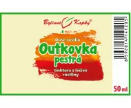 Outkovka colorat - picături Suflet de plante (tinctură) 50 ml