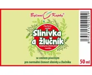 Pancreas și vezica biliară - picături din plante (tinctură) 50 ml