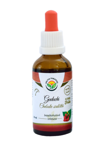 Guduchi - tinctura Chebule copioasa AF 50 ml