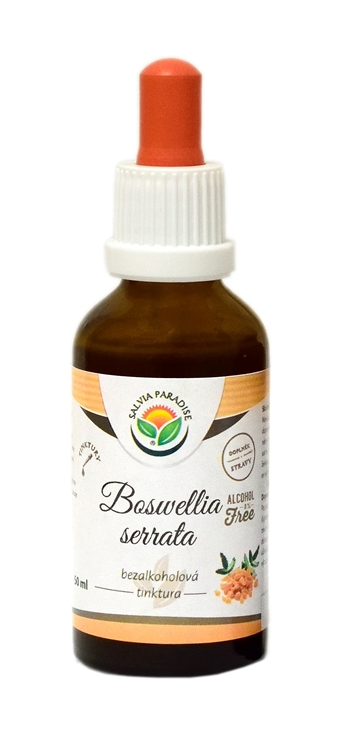 Boswellia serrata - Tinctură de tămâie AF 50 ml